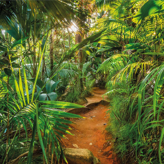 Veggmaleri Jungle Trail 368x254 cm
