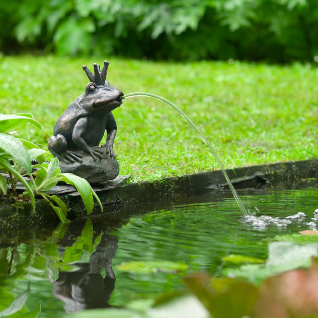 Garden fountain king frog
