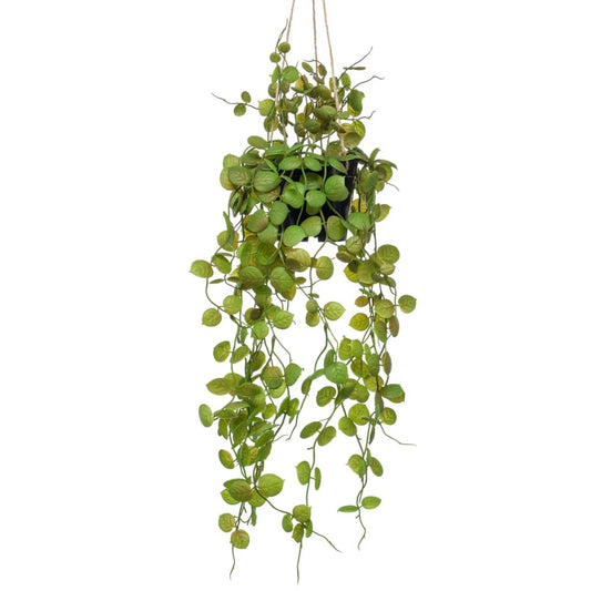 Artificial Ceropegia hengende busk 50 cm i potte