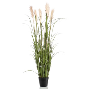 Kunstig pampasgress i potte 160 cm