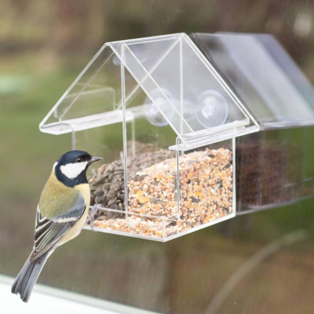 Bird feeder combi acrylic