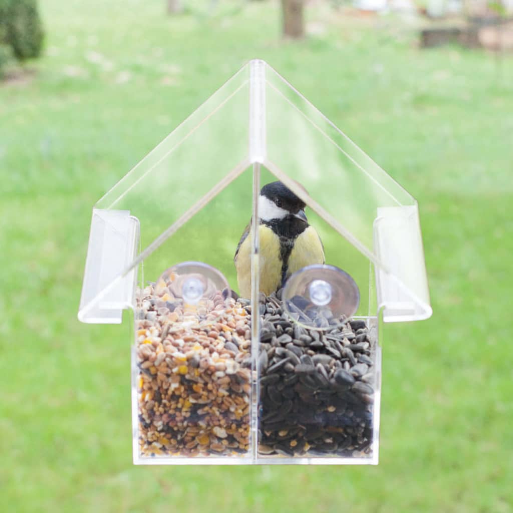 Bird feeder combi acrylic