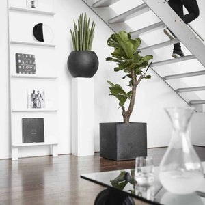Plantepotte Urban Smooth kvadratisk 40x40x40 cm svart KBL903