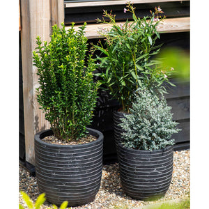 Plantevase Nature Row elegant lav 36x47 cm antrasitt KRWZ782