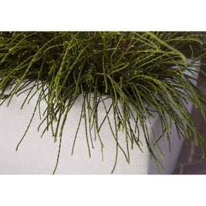 Plantekasse Arc Granite rektangulær 90x35x40 cm elfenben