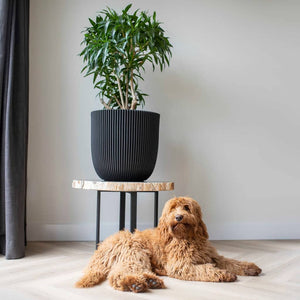 Plantekasse Groove 43x41 cm svart