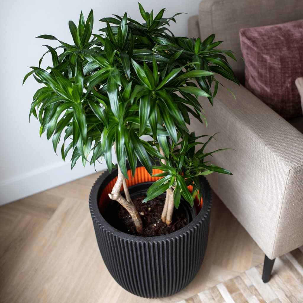 Plantekasse Groove 43x41 cm svart