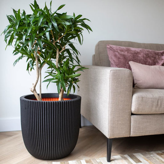 Plantekasse Groove 43x41 cm svart