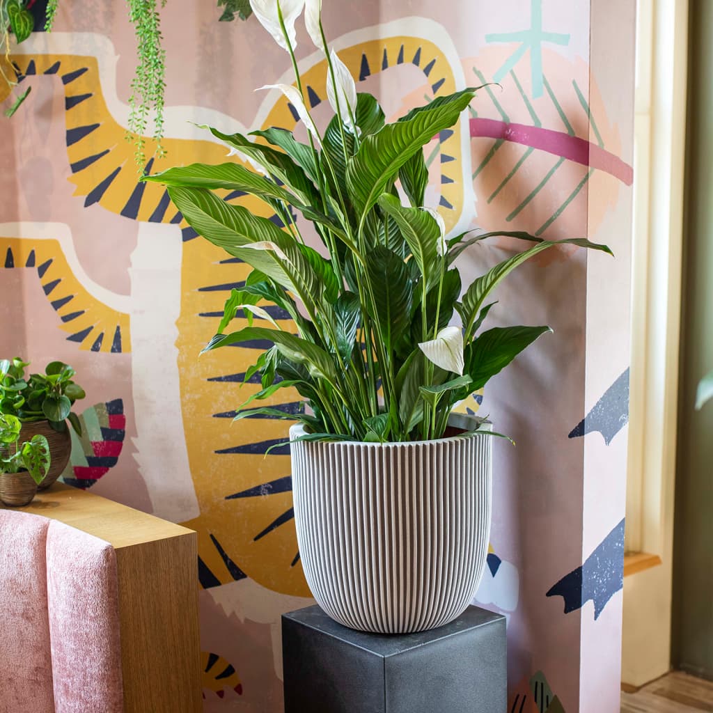 Plantekasse Groove 35x34 cm elfenben