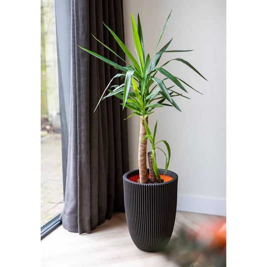 Vase elegant Groove 34x46 cm svart