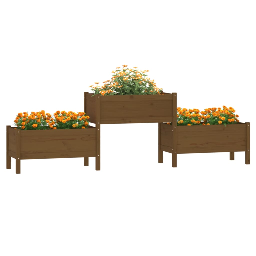 Plantekasse honningbrun 245,5x44x75 cm heltre furu