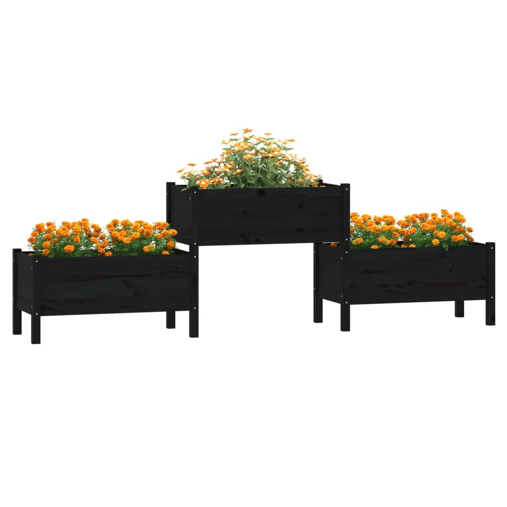 Plantekasse svart 245,5x44x75 cm heltre furu