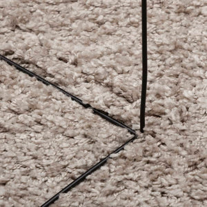 Tykt teppe PAMPLONA høy luv moderne beige Ø 240 cm