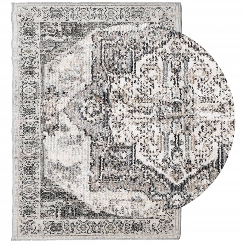 Teppe ARBIZU innendørs og utendørs vintage design 200x280 cm
