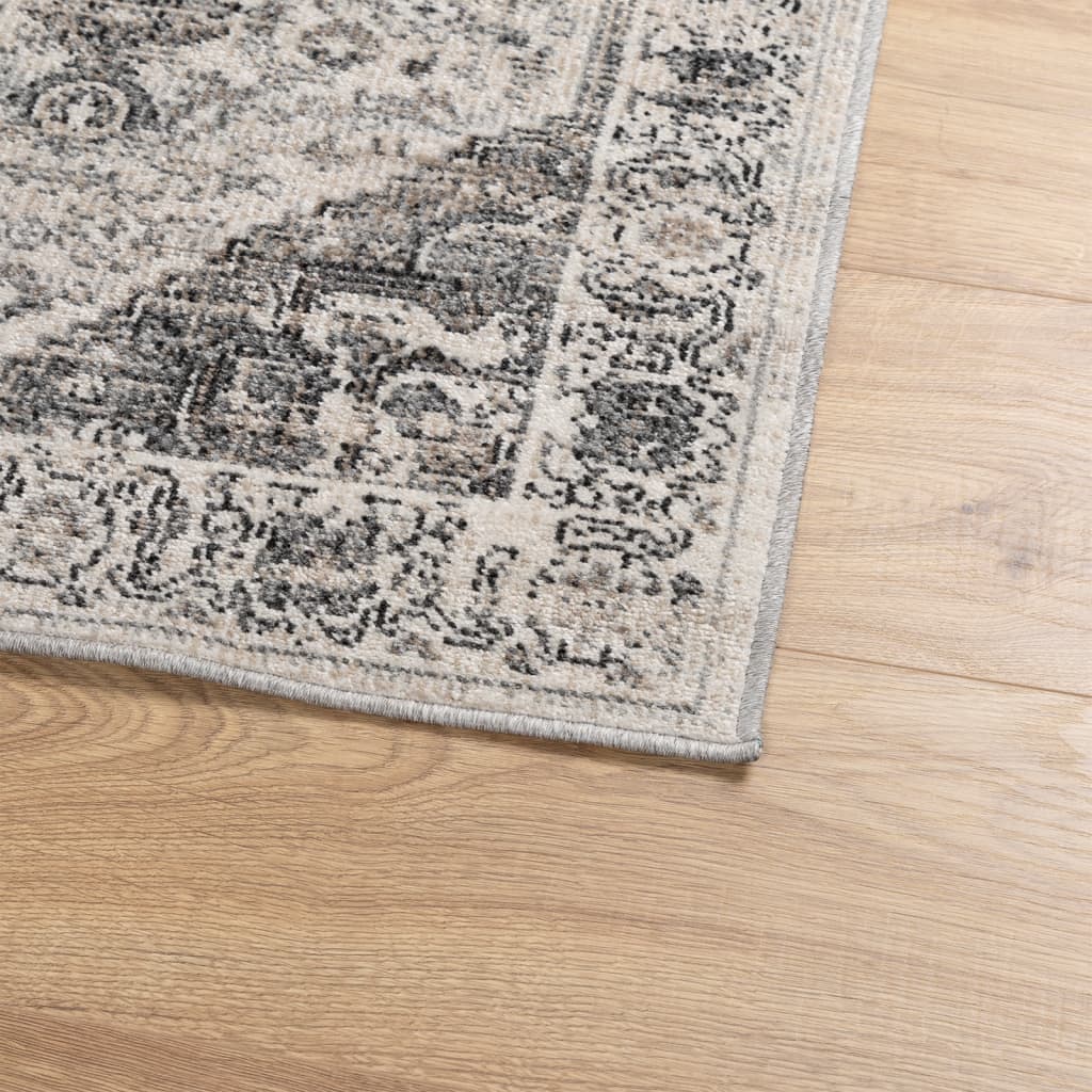 Teppe ARBIZU innendørs og utendørs vintage design 200x280 cm