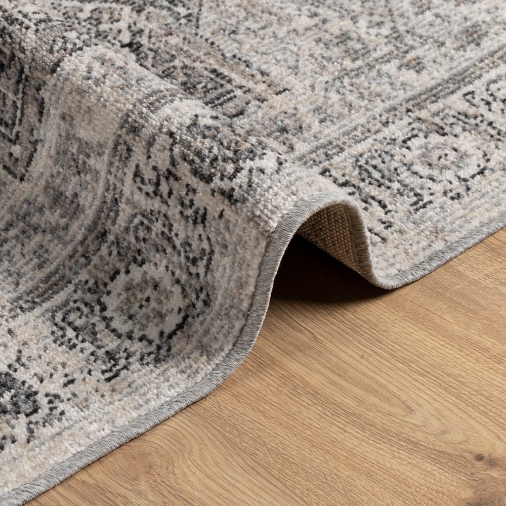 Teppe ARBIZU innendørs og utendørs vintage design 200x280 cm