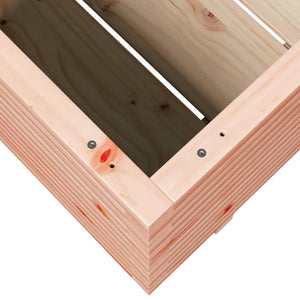 Planter 90x60x49.5 cm solid Douglas fir