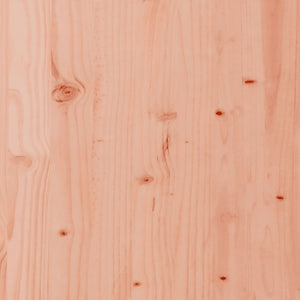 Planter 90x60x49.5 cm solid Douglas fir
