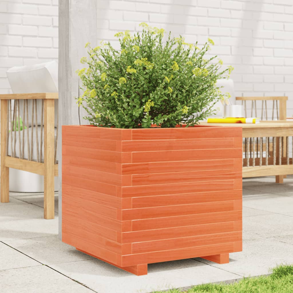 Plantekasse voksbrun 50x50x49,5 cm heltre furu