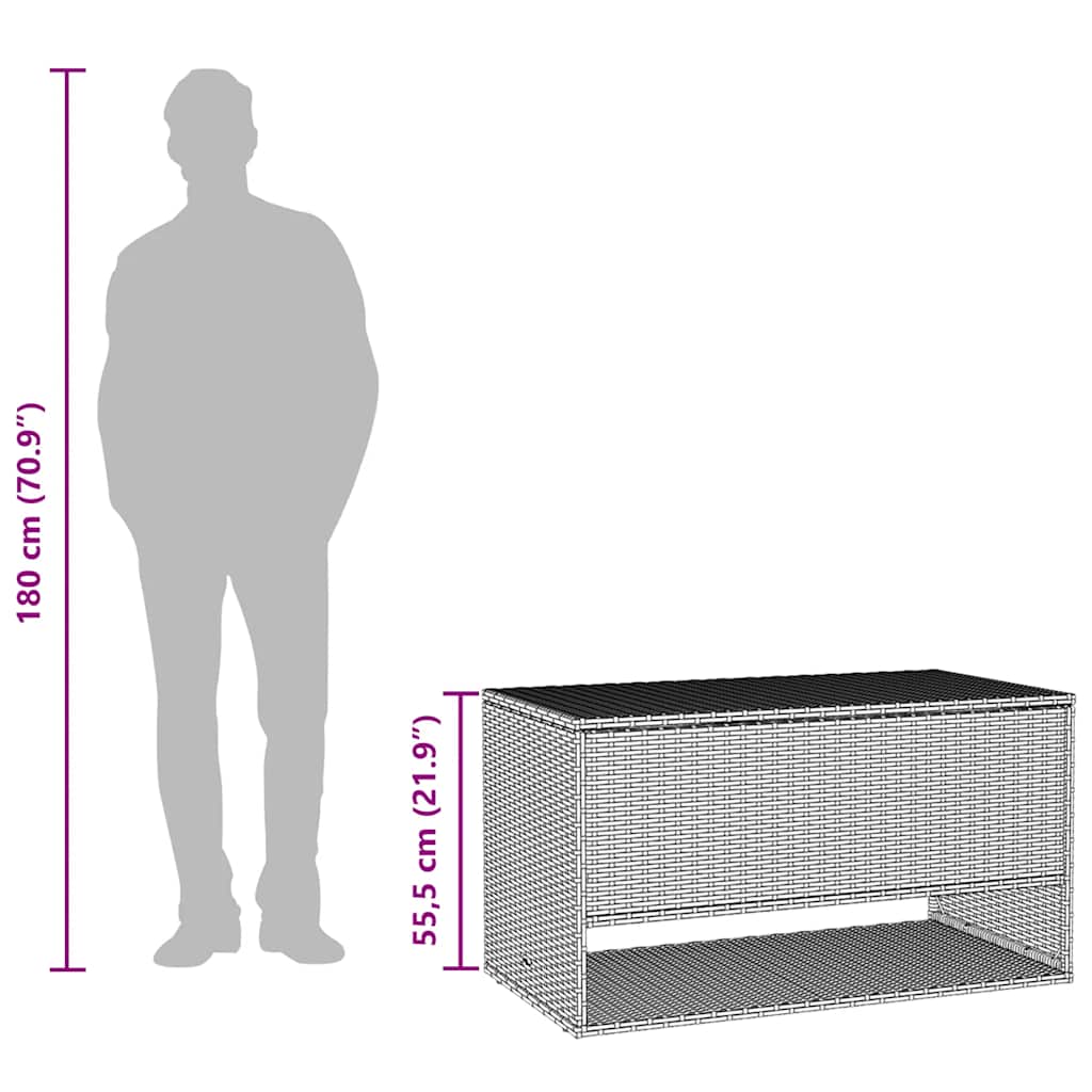 Outdoor cushion box grey 100x55x55.5 cm poly rattan