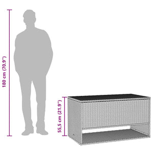 Outdoor cushion box grey 100x55x55.5 cm poly rattan