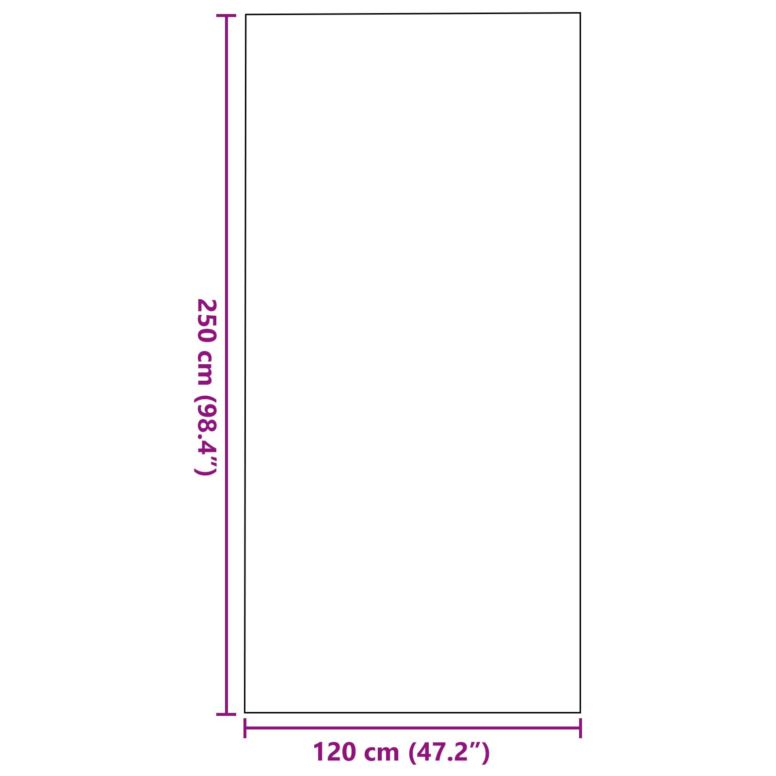 Dørmatte Rektangulær Grå 120x250 cm