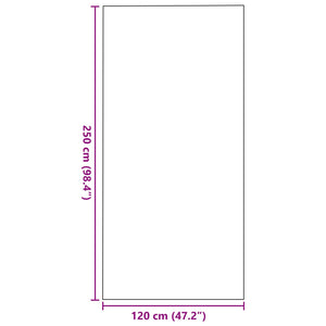 Dørmatte Rektangulær Grå 120x250 cm