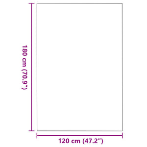 Dørmatte Rektangulær Brun 120x180 cm