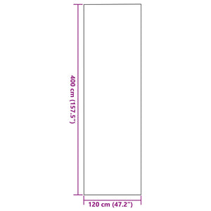 Rektangulær Dørmatte Brun 120x400 cm