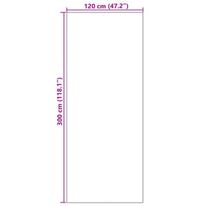 Dørmatte Rektangulær Grå 120x300 cm